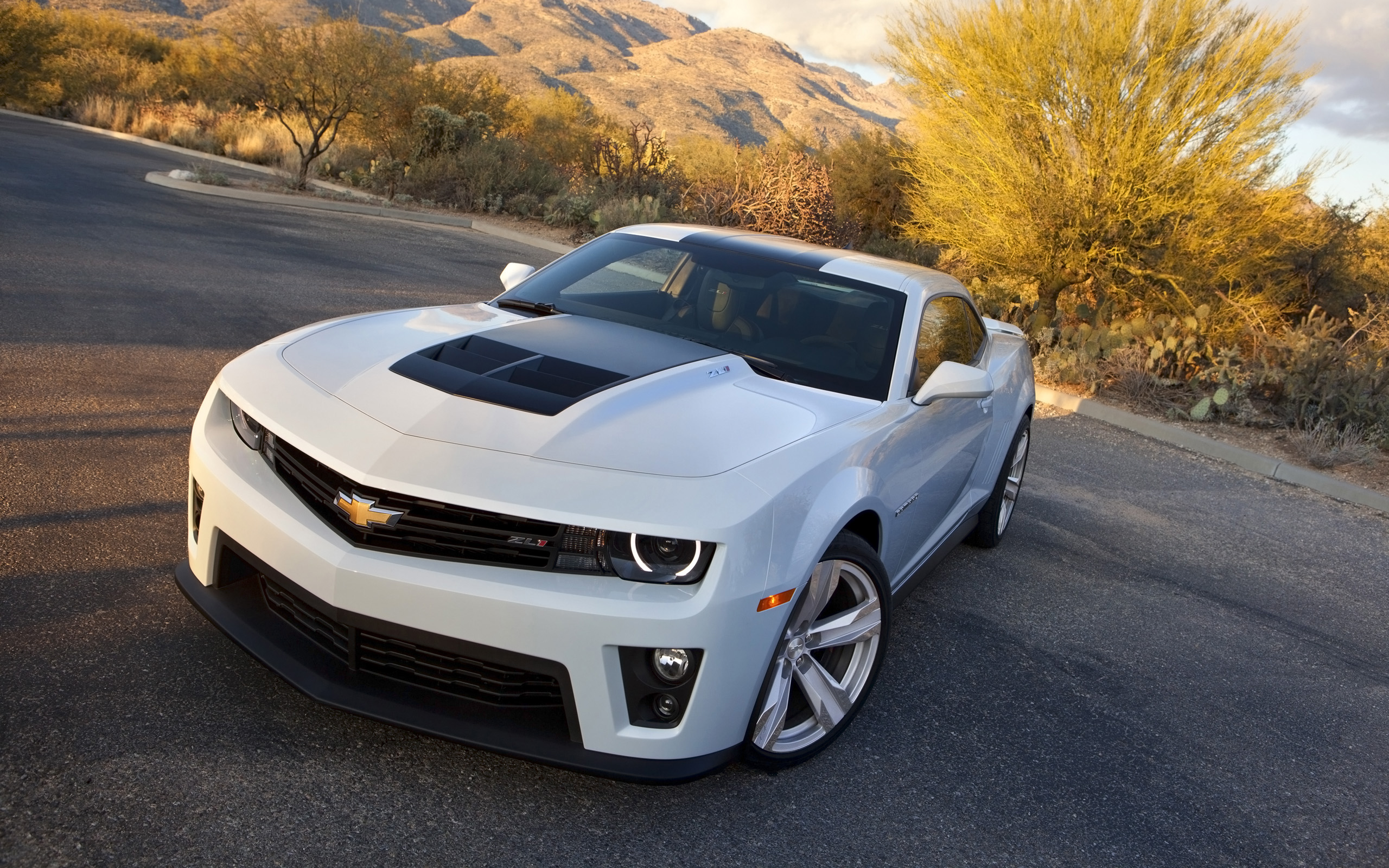 See the window label or a dealer regarding the features on an individual vehicle. 2014 Chevrolet Camaro ZL1 Coupe 2 Wallpaper | HD Car