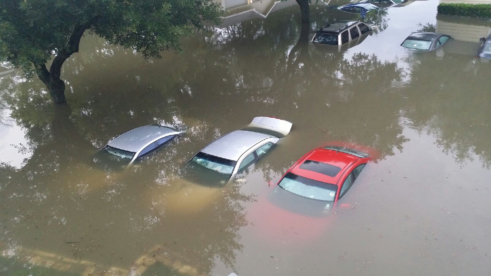 Oh wait, maybe that's a corvette. My car is flooded, now what?