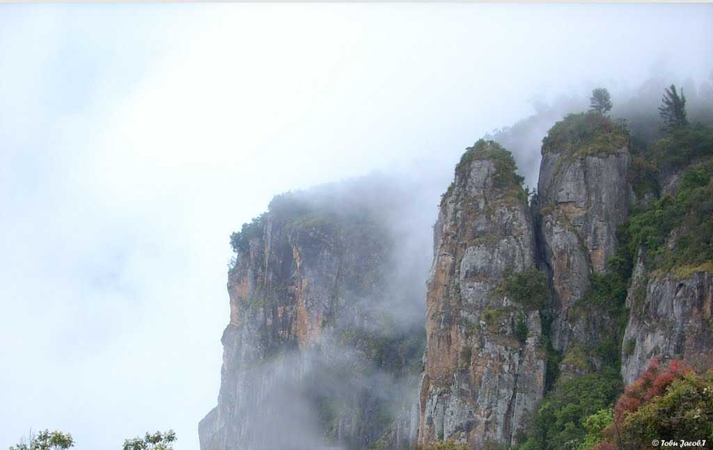 Price was $49 per day and is now $36 per day$49*$36 ; Kodaikanal Tour Packages - Cheap & Best Holiday Packages