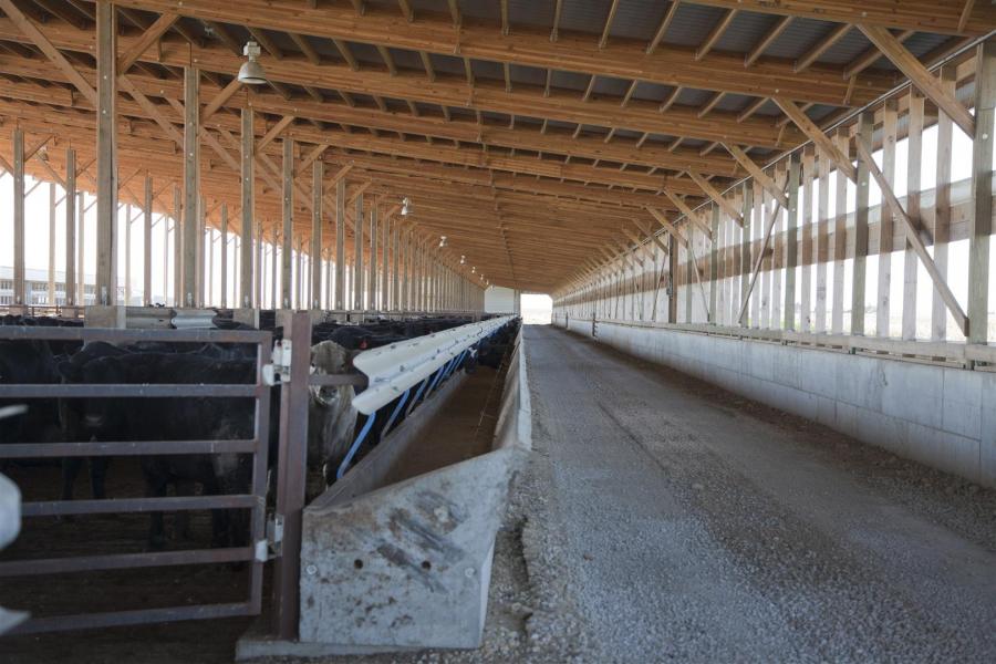 Thomas cumberland subaru hyundai · 3. Photo gallery of cattle barns by EPS
