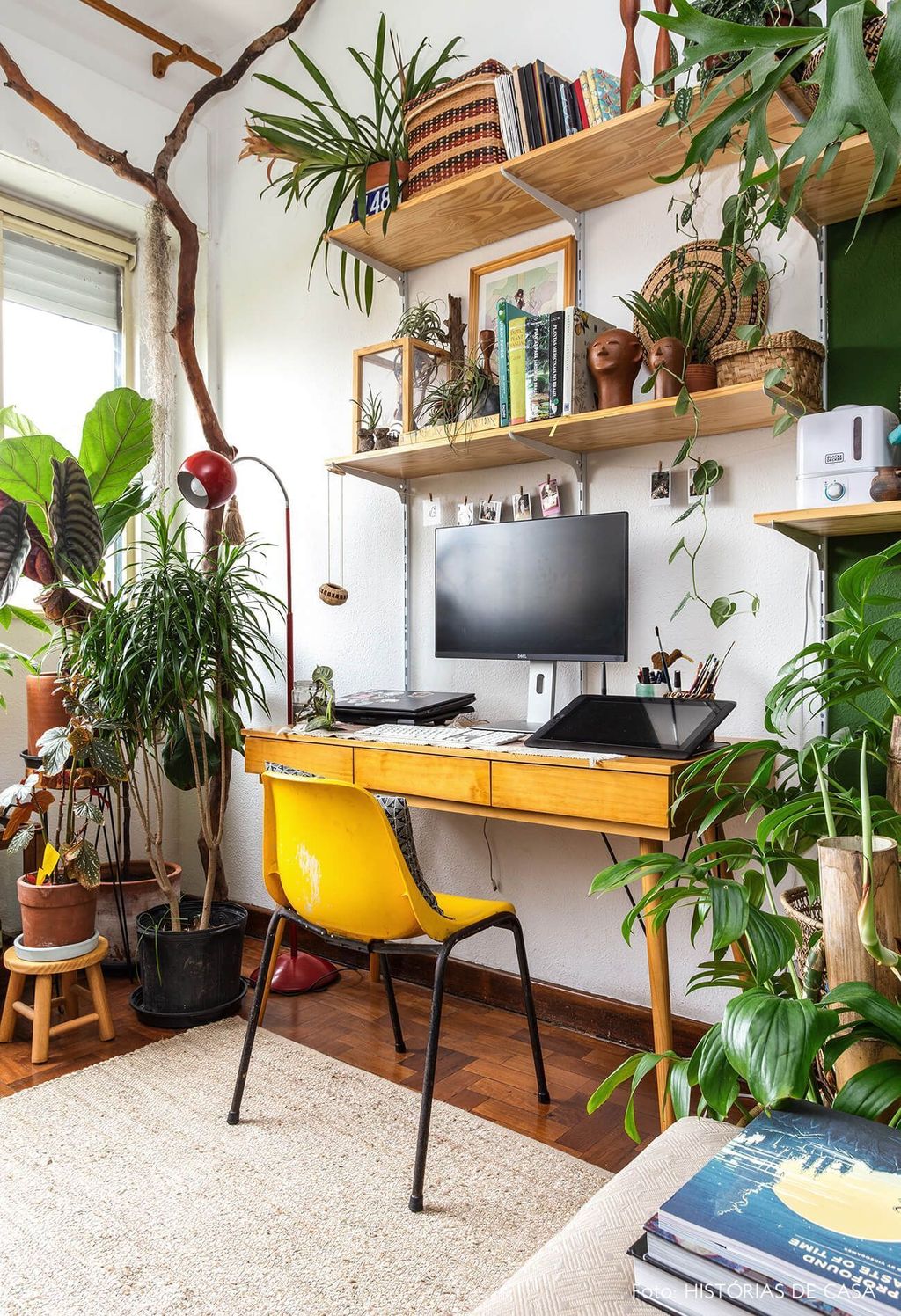 Rustic wooden desk with a plant and a lamp