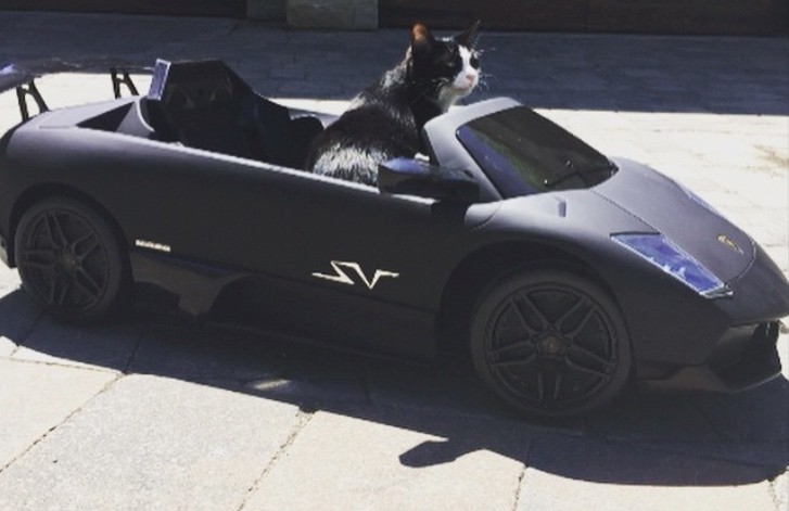 Based on the make and model of your vehicle, . Deadmau5âs Cat Has a Lamborghini Power Wheels Battery Car